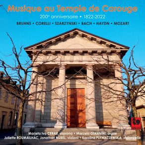 Download track Adagio In D Minor, Wq. Nv 66, H. 352 Marcelo Giannini, Marjeta Iva Cerar, Jonathan Nubel, Juliette Roumailhac, Karolina Plywaczewska