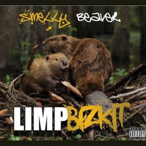 Download track I've Got No Clue Limp Bizkit