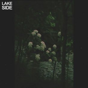 Download track Under Trees Nalim