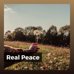 Download track Razor-Sharp Ambient Calm Music For Studying