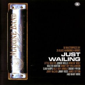 Download track Let Your Conscience Be Your Guide Sonny Boy Williamson