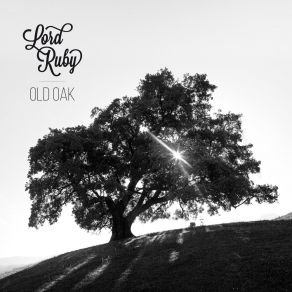 Download track Shake It Lord Ruby