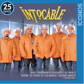 Download track El Poder De Tus Manos Intocable