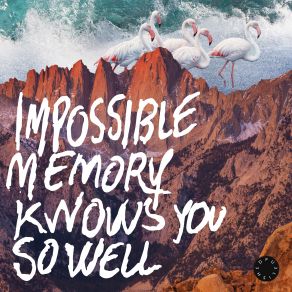 Download track Sometimes I Feel Like I Am A Little Less Than What You Bargained For Impossible Memory