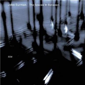 Download track The Spaces In Between John Surman