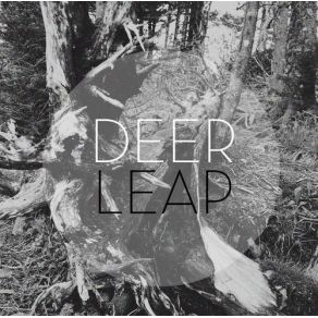 Download track (Take Time) Deer Leap