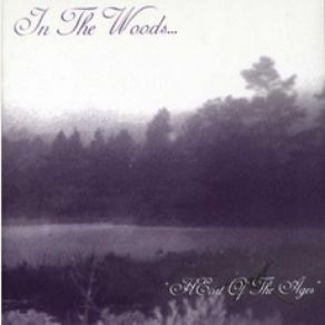 Download track The Divinity Of Wisdom In The Woods...