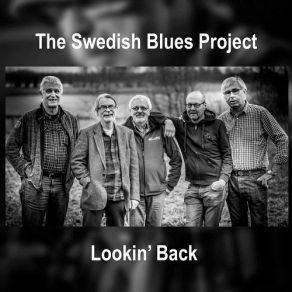 Download track It Hurts Me To (When Things Go Wrong) The Swedish Blues Project