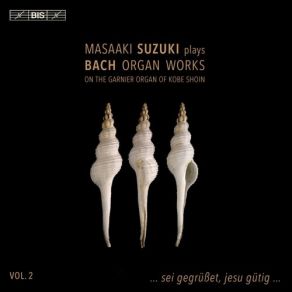 Download track 12. Partita On Sei Gegrüsset, Jesu Gütig, BWV 768 Var. 5 Johann Sebastian Bach