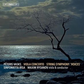 Download track 02. Concerto For Viola & String Orchestra II. Allegro Moderato Pēteris Vasks