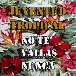 Download track Ayudame A Olvidar Juventud Tropical