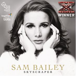 Download track Skyscraper Sam Bailey