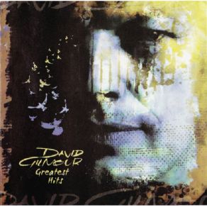 Download track You Know I'M Right David Gilmour