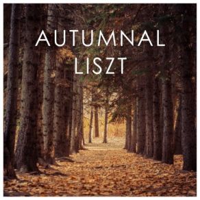 Download track Piano Concerto No. 2 In A, S. 125: 2. Allegro Agitato Assai Staatskapelle Berlin, Pierre Boulez, Daniel Barenboim