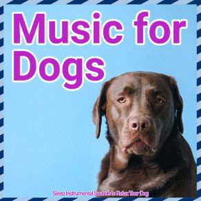 Download track Time To Unwind Dog Music Dreams