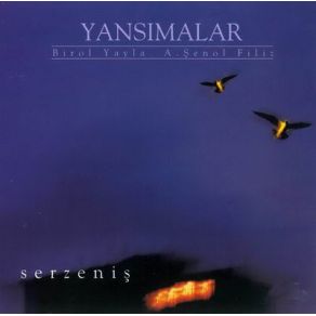Download track Devran Birol Yayla, Aziz Şenol Filiz