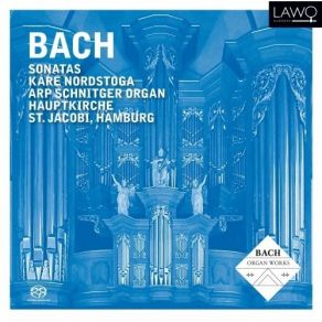 Download track 2. Toccata And Fugue In D Minor BWV 538 Dorian - II. Fugue Johann Sebastian Bach