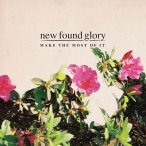 Download track Hit Or Miss New Found Glory