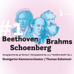 Download track String Quintet No. 2 In G Major, Op. 111: II. Adagio Thomas Zehetmair, Stuttgarter Kammerorchester
