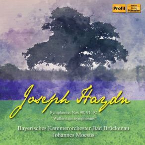 Download track Symphony No. 90 In C Major, Hob. I'90 IV. Finale. Allegro Assai' Bayerisches Kammerorchester Bad Brückenau
