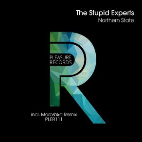 Download track Northern State (MOROSHKA Remix) The Stupid Experts