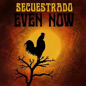 Download track Pine Box Secuestrado