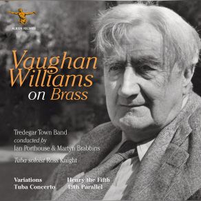 Download track Tuba Concerto In F Minor (Arr. P. Littlemore For Brass Band) III. Finale - Rondo Alla Tedesca. Allegro Ross Knight, Martyn Brabbins, Tredegar Town Band, Ian Porthouse
