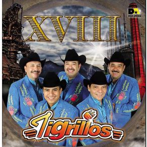 Download track El Pushe Los Tigrillos