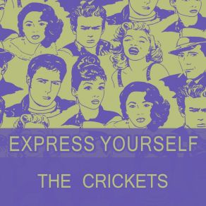 Download track More Than I Can Say The Crickets