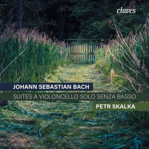 Download track Suite No. 2 In D Minor BWV 1008 II. Allemande Petr Skalka