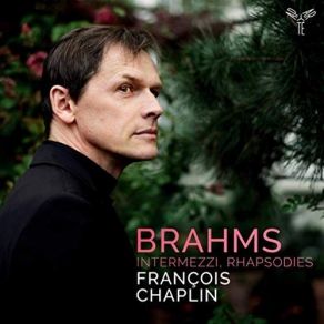 Download track 12. Rhapsodies Op. 79- Rhapsodie No. 2 En Sol Mineur (Molto Passionato, Ma Non Troppo Allegro) Johannes Brahms