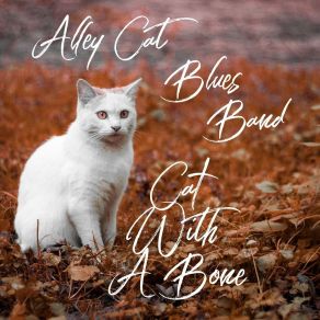 Download track Today I'm Happy Alley Cat