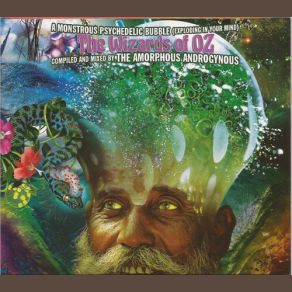Download track Getting Through The Amorphous AndrogynousMelissa