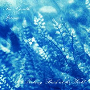 Download track Don't Bring It Home The Gentle Spring
