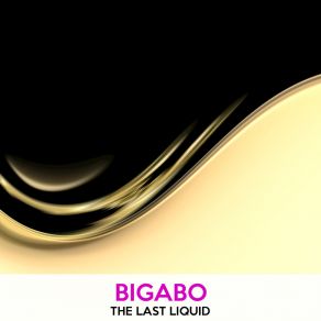 Download track Liquid Logic Bigabo