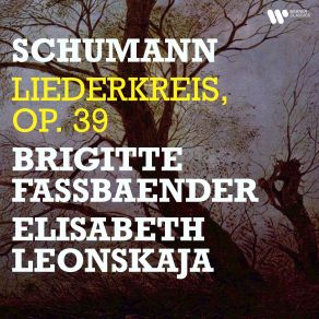 Download track Liederkreis, Op. 39- No. 2, Intermezzo Brigitte Fassbaender, Elisabeth Leonskaja
