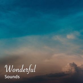 Download track Moonlit Reflections Spa Music Paradise
