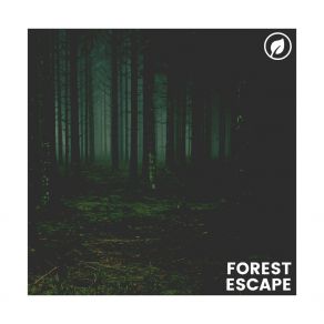 Download track Open To The Beauty Of This Reality Cricket Sounds