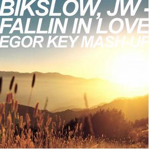 Download track Fallin In Love (Egor Key Mash - Up) Jw, Bikslow, Egor Key