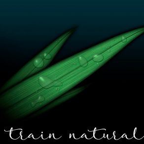 Download track Bugaboo Natural Training