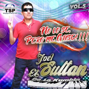 Download track Oh Que Gusto De Volverte A Ver Joel El Sultan De La Kumbia