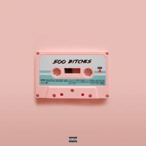 Download track Calling My Phone 500Bitches