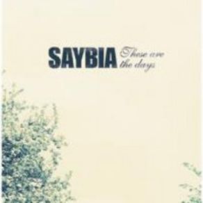 Download track Flags Saybia