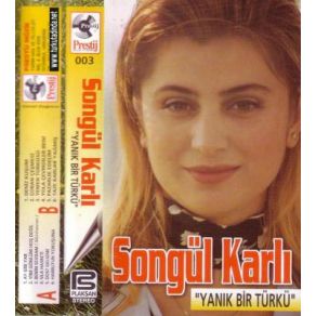 Download track Yine Gönlüm Hoş Değil