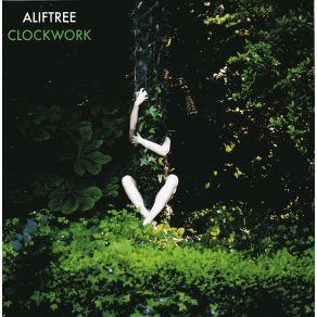 Download track Not Gonna Waste My Time Alif Tree