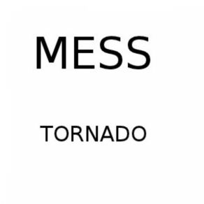 Download track Tornado Mess