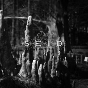 Download track Fire It Up! Seid