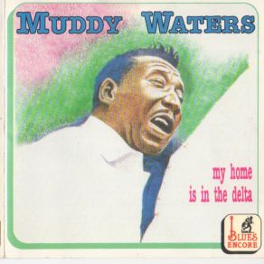 Download track Lonesome Day Muddy Waters