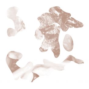 Download track String Soft Tissue