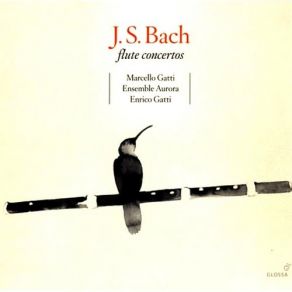 Download track Triple Concerto In D Major, BWV1050a - 3. Allegro Ensemble Aurora, Enrico Gatti